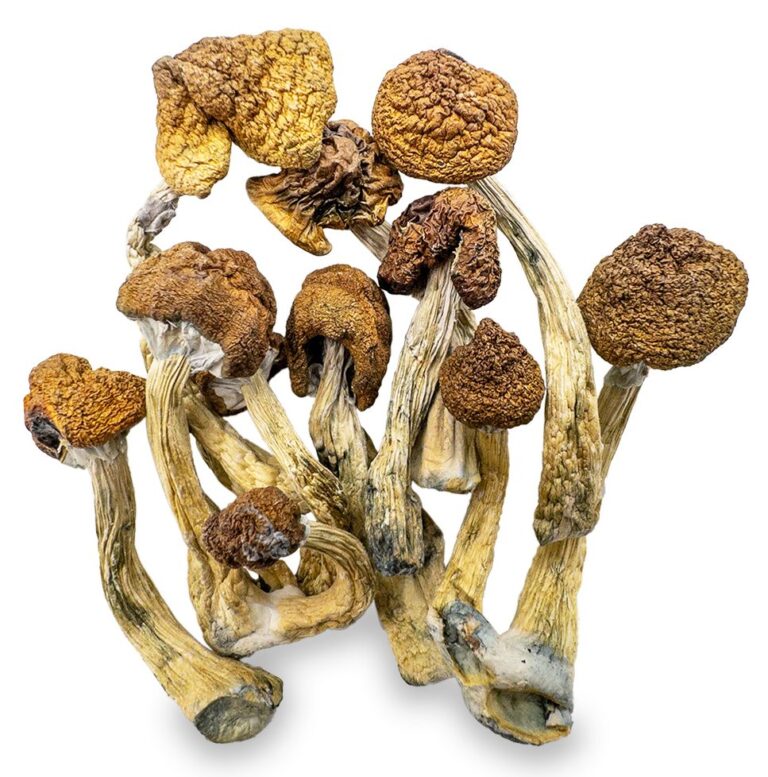 Ordering Magic Mushrooms Online: A Comprehensive Guide